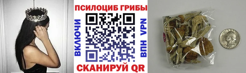 мега маркетплейс  Елабуга  Галлюциногенные грибы GOLDEN TEACHER 