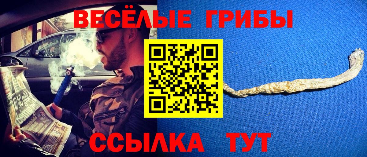 Елабуга  Галлюциногенные грибы GOLDEN TEACHER  Вход с VPN 